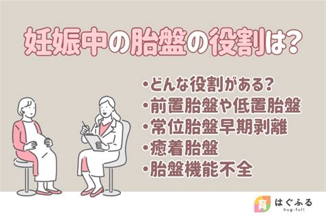 胎盤形成時期|【医師監修】「胎盤」って、どんなもの？ 食べられ。